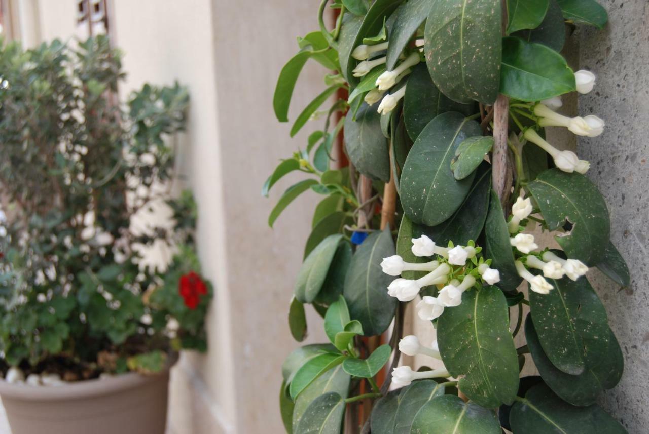 Verdirooms158 Castellammare del Golfo Exterior photo